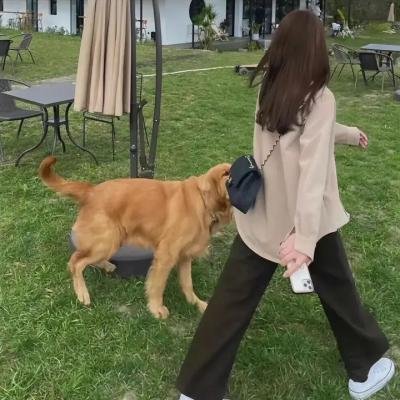 阳台上的女人们